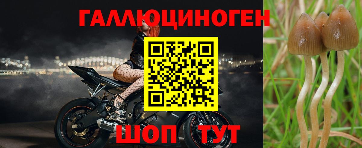 Псилоцибиновые грибы ЛСД  Вход с VPN  Вичуга 
